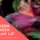 Open Week San Lo’ 2019